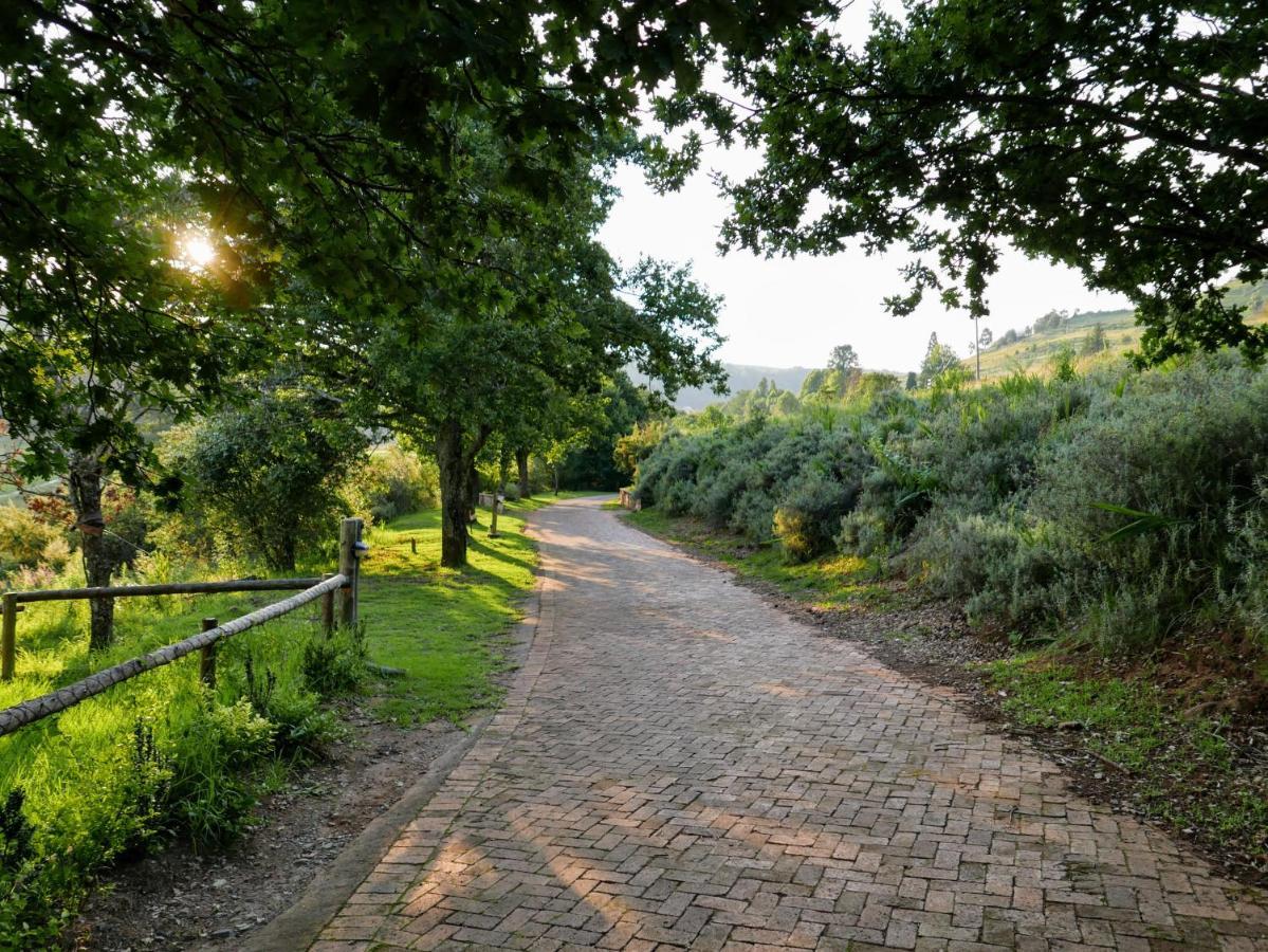 Walkersons Trout And Nature Haven Dullstroom Exterior foto