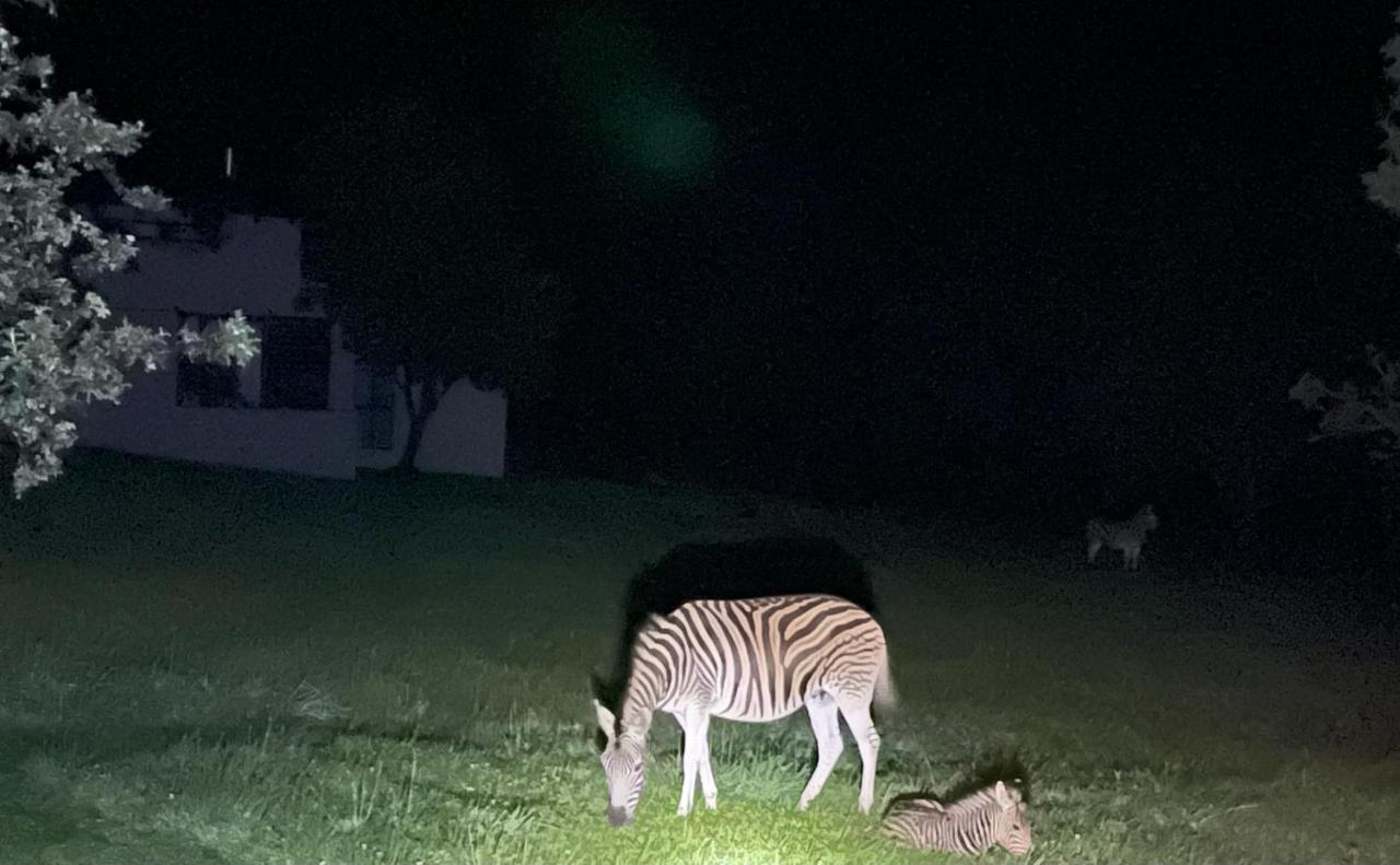 Walkersons Trout And Nature Haven Dullstroom Exterior foto